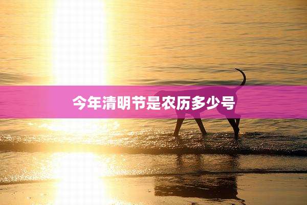 今年清明节是农历多少号