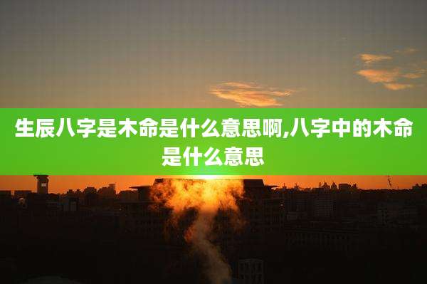 生辰八字是木命是什么意思啊,八字中的木命是什么意思