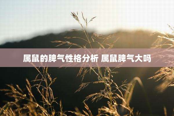 属鼠的脾气性格分析 属鼠脾气大吗