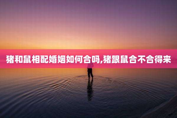 猪和鼠相配婚姻如何合吗,猪跟鼠合不合得来
