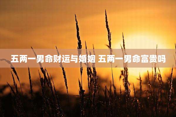 五两一男命财运与婚姻 五两一男命富贵吗