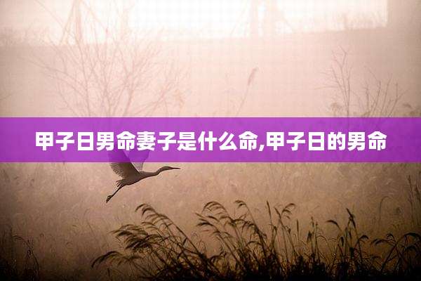 甲子日男命妻子是什么命,甲子日的男命