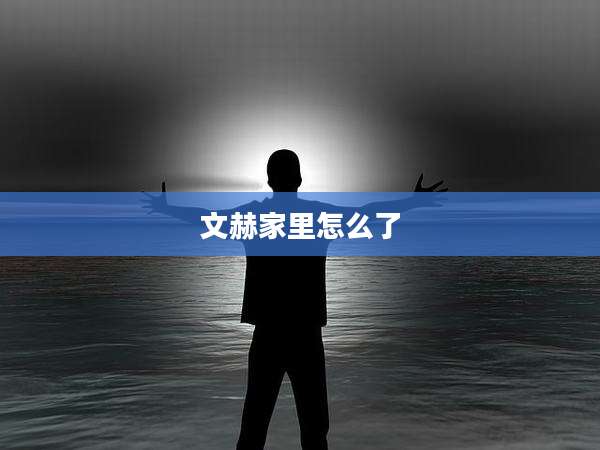 文赫家里怎么了