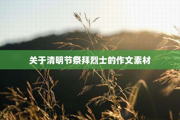 关于清明节祭拜烈士的作文素材