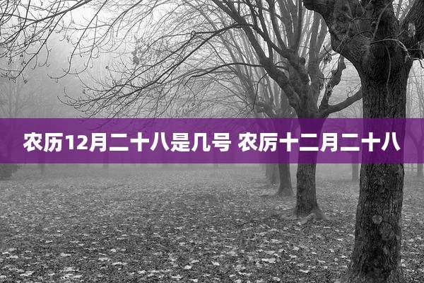 农历12月二十八是几号 农厉十二月二十八
