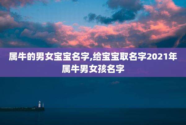 属牛的男女宝宝名字,给宝宝取名字2021年属牛男女孩名字