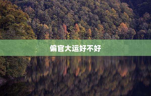 偏官大运好不好