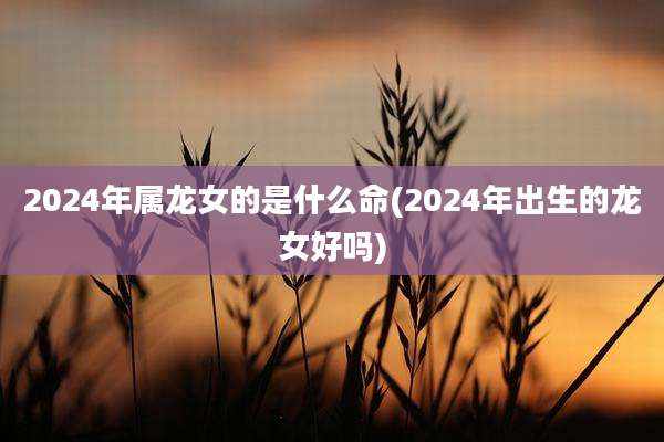 2024年属龙女的是什么命(2024年出生的龙女好吗)