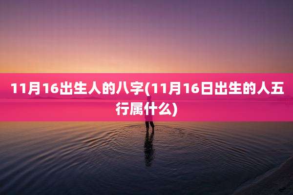 11月16出生人的八字(11月16日出生的人五行属什么)