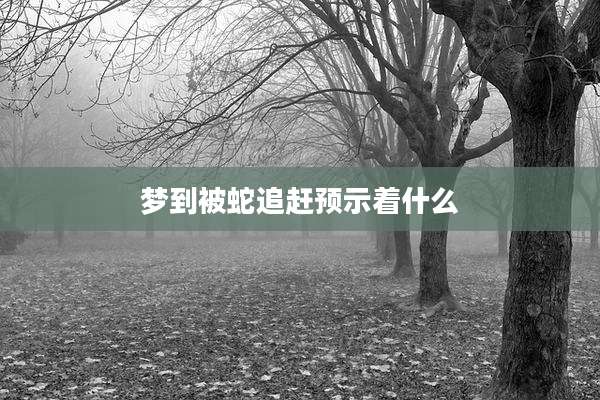 梦到被蛇追赶预示着什么