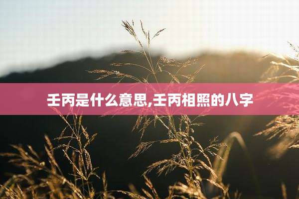 壬丙是什么意思,壬丙相照的八字