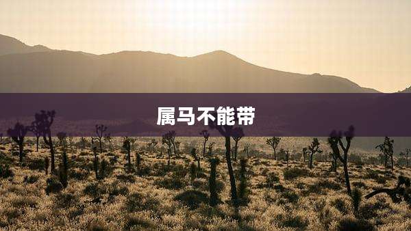 属马不能带