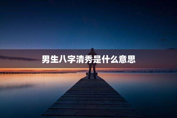男生八字清秀是什么意思