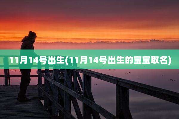 11月14号出生(11月14号出生的宝宝取名)