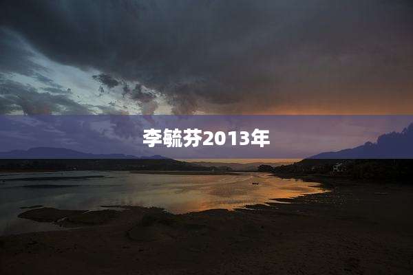 李毓芬2013年