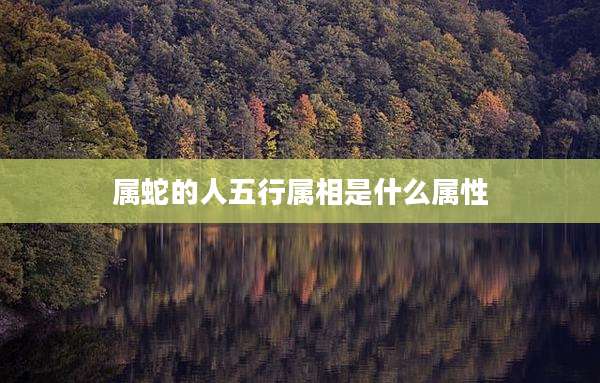 属蛇的人五行属相是什么属性