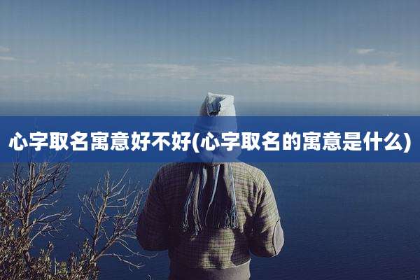 心字取名寓意好不好(心字取名的寓意是什么)