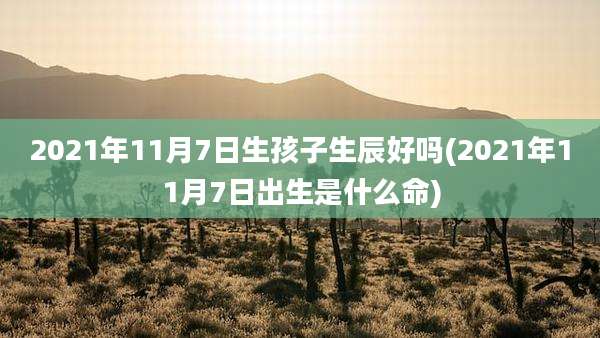 2021年11月7日生孩子生辰好吗(2021年11月7日出生是什么命)
