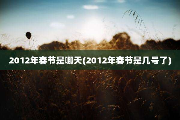 2012年春节是哪天(2012年春节是几号了)