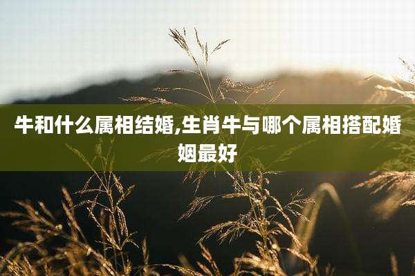 牛和什么属相结婚,生肖牛与哪个属相搭配婚姻最好