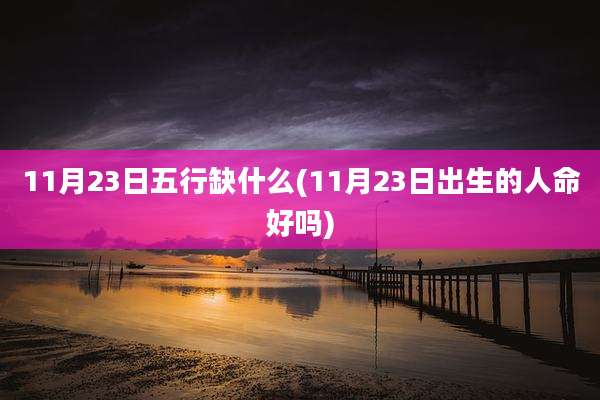 11月23日五行缺什么(11月23日出生的人命好吗)