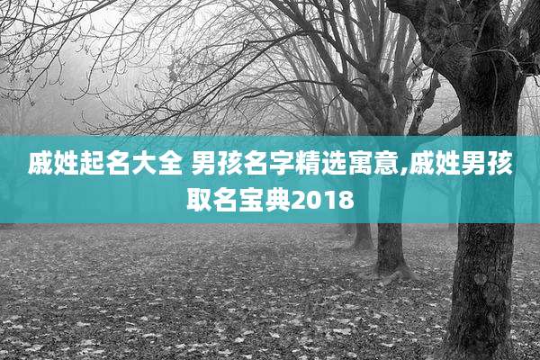 戚姓起名大全 男孩名字精选寓意,戚姓男孩取名宝典2018
