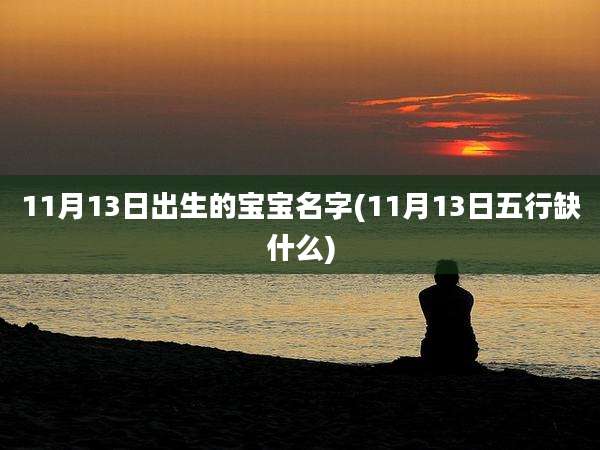 11月13日出生的宝宝名字(11月13日五行缺什么)