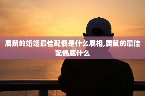属鼠的婚姻最佳配偶是什么属相,属鼠的最佳配偶属什么