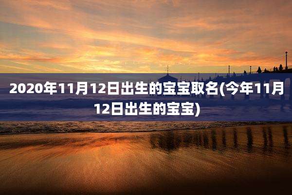 2020年11月12日出生的宝宝取名(今年11月12日出生的宝宝)