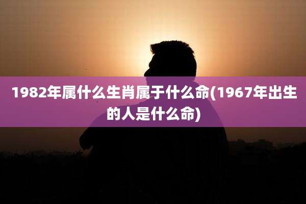 1982年属什么生肖属于什么命(1967年出生的人是什么命)