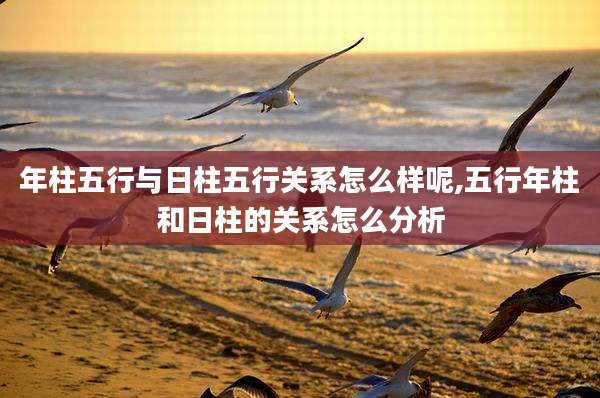 年柱五行与日柱五行关系怎么样呢,五行年柱和日柱的关系怎么分析