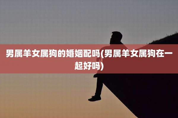 男属羊女属狗的婚姻配吗(男属羊女属狗在一起好吗)