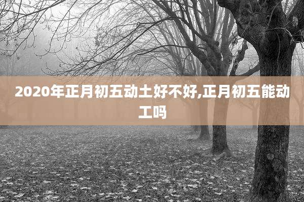 2020年正月初五动土好不好,正月初五能动工吗