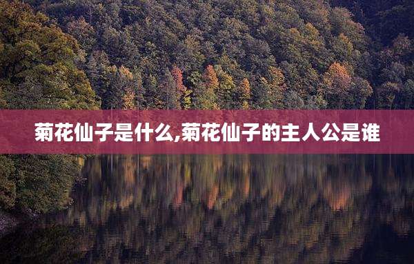 菊花仙子是什么,菊花仙子的主人公是谁