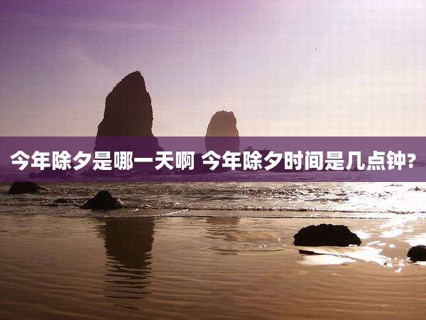今年除夕是哪一天啊 今年除夕时间是几点钟?