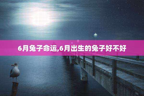 6月兔子命运,6月出生的兔子好不好