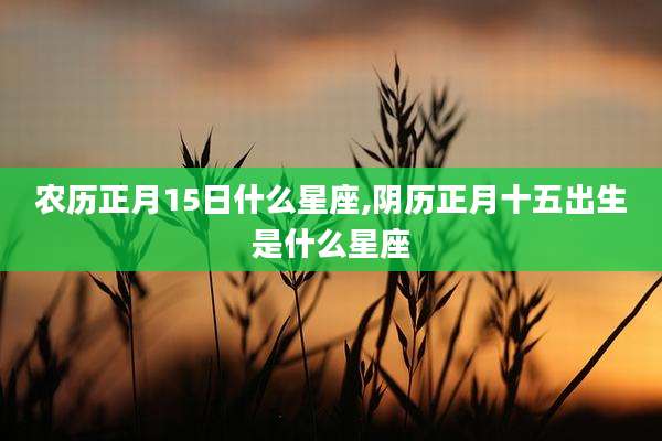 农历正月15日什么星座,阴历正月十五出生是什么星座