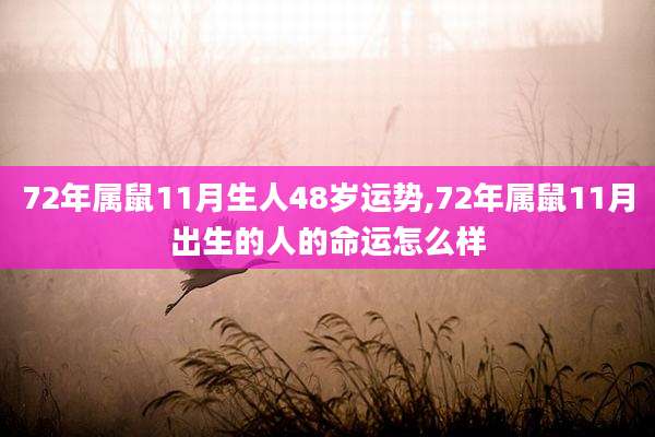 72年属鼠11月生人48岁运势,72年属鼠11月出生的人的命运怎么样