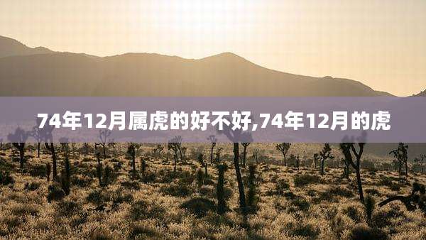74年12月属虎的好不好,74年12月的虎