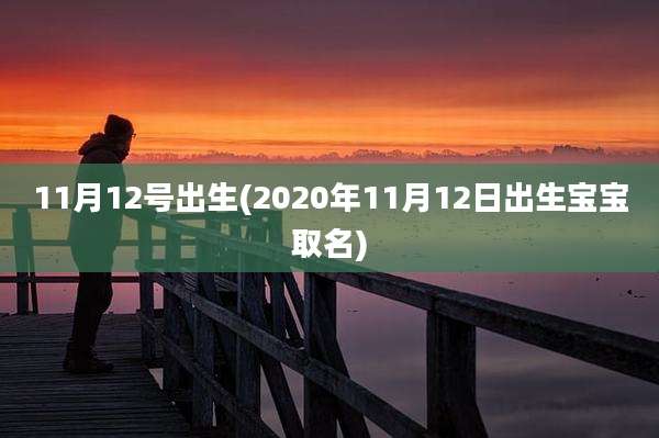 11月12号出生(2020年11月12日出生宝宝取名)