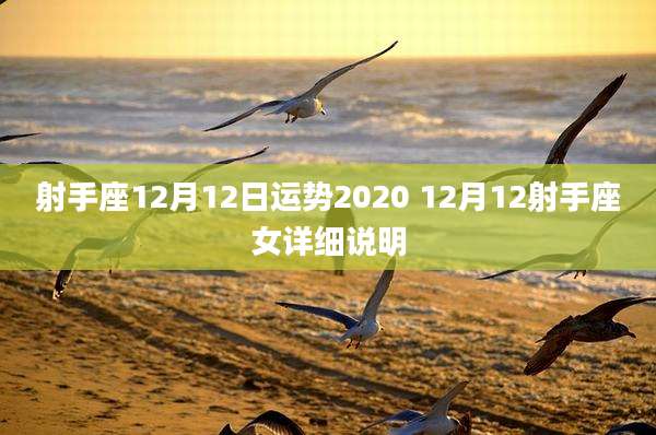 射手座12月12日运势2020 12月12射手座女详细说明