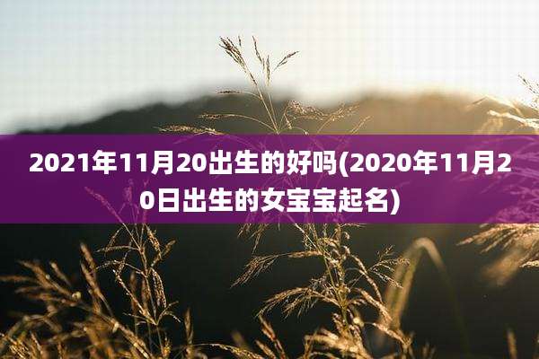 2021年11月20出生的好吗(2020年11月20日出生的女宝宝起名)