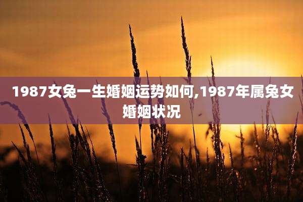 1987女兔一生婚姻运势如何,1987年属兔女婚姻状况