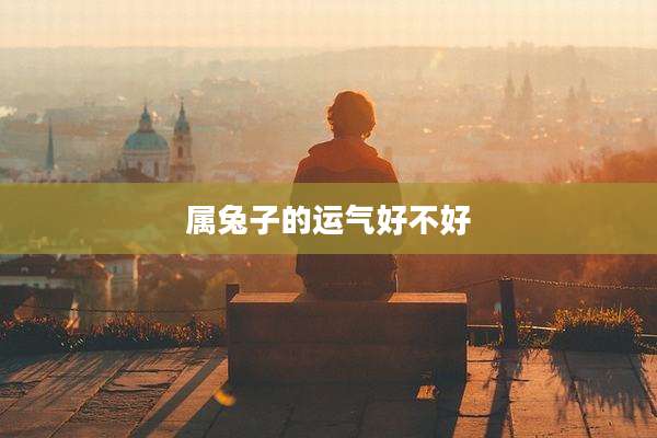 属兔子的运气好不好