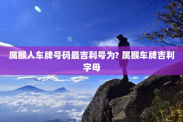属猴人车牌号码最吉利号为? 属猴车牌吉利字母