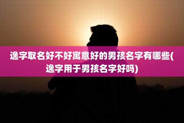 逸字取名好不好寓意好的男孩名字有哪些(逸字用于男孩名字好吗)