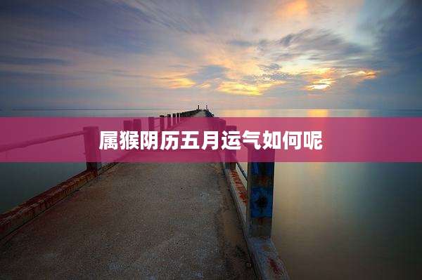 属猴阴历五月运气如何呢