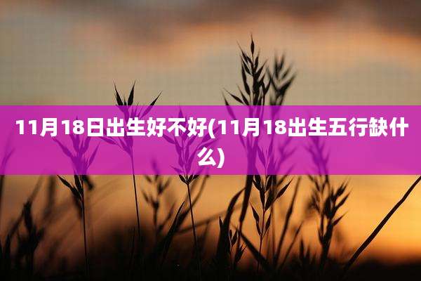 11月18日出生好不好(11月18出生五行缺什么)