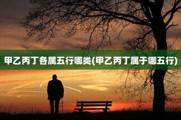 甲乙丙丁各属五行哪类(甲乙丙丁属于哪五行)