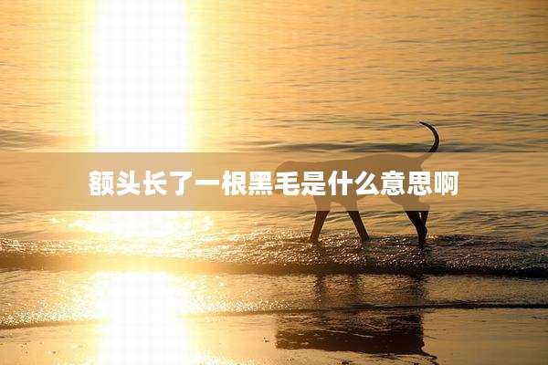 额头长了一根黑毛是什么意思啊